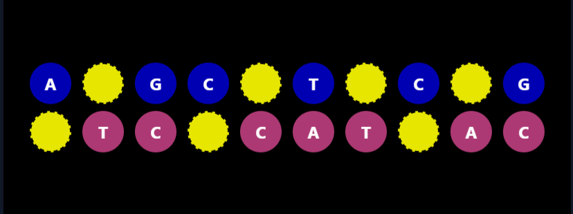 DNA Strand